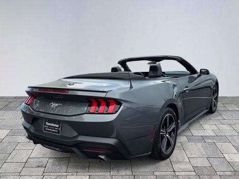 Used 2024 Ford Mustang Premium RWD image 7