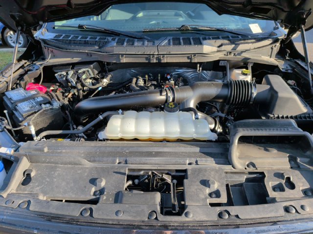 Used 2025 Ford F150 XLT w/ Equipment Group 301A Standard AWD/4WD image 37