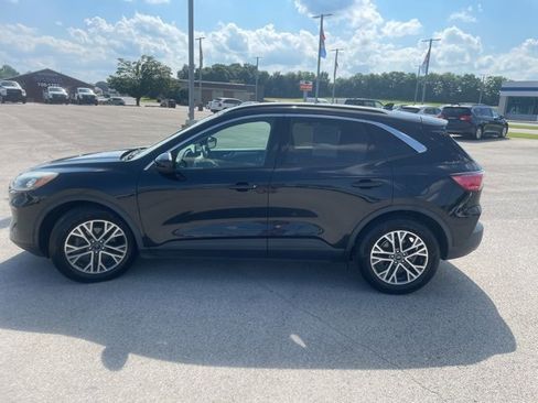 Used 2020 Ford Escape SEL image 5