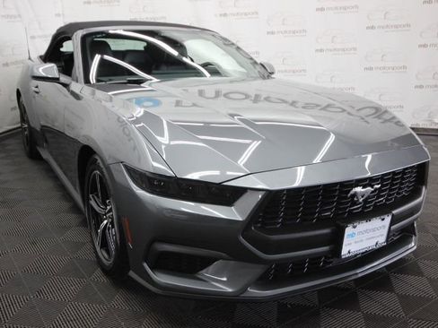 Used 2025 Ford Mustang Premium image 9