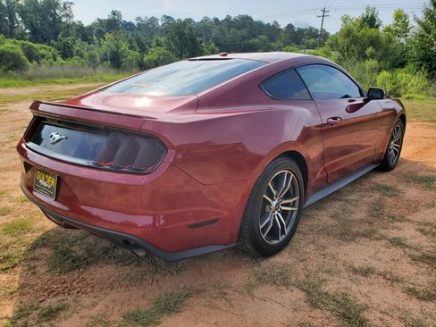Used 2016 Ford Mustang Premium w/ Equipment Group 201A RWD image 9