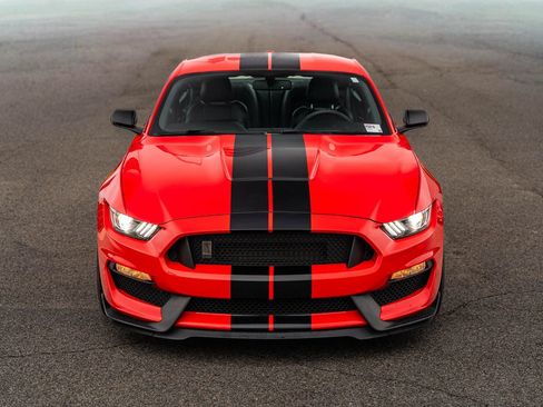 Used 2016 Ford Mustang Shelby GT350 w/ Technology Package RWD image 2