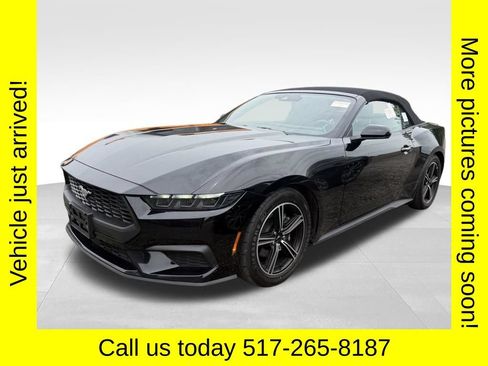 Used 2025 Ford Mustang Premium RWD image 2
