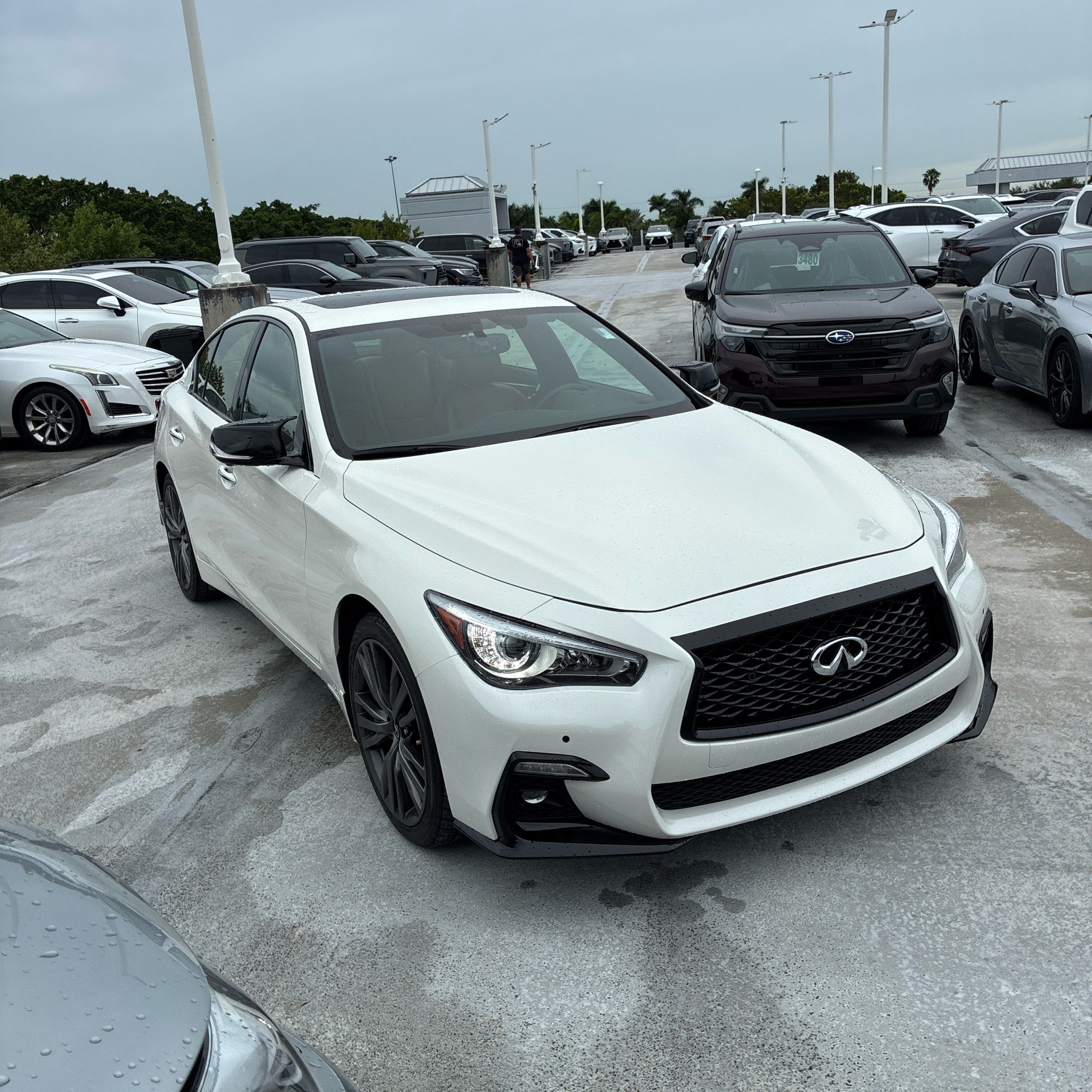 Used 2024 INFINITI Q50 Sensory AWD/4WD image 14