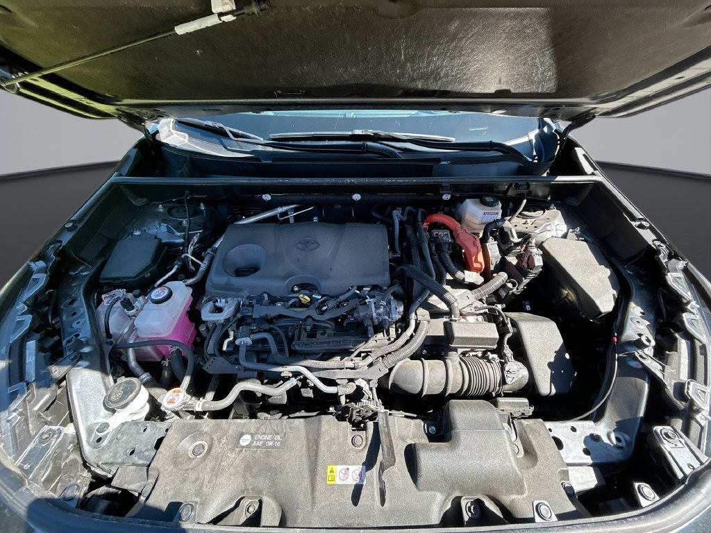 Certified 2025 Toyota RAV4 LE AWD/4WD image 31