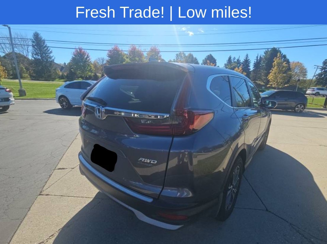 Used 2020 Honda CR-V EX-L image 4