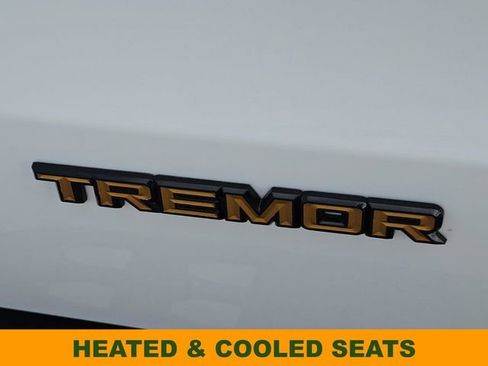New 2026 Ford Expedition Tremor image 13