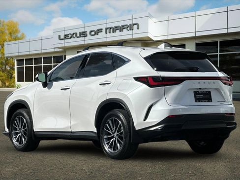 Certified 2025 Lexus NX 350h AWD w/ Cold Area Package image 3