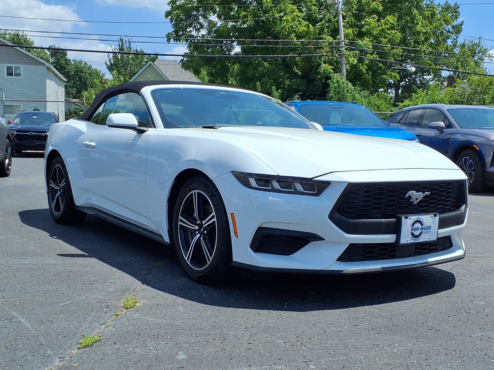 Used 2024 Ford Mustang Premium RWD image 5