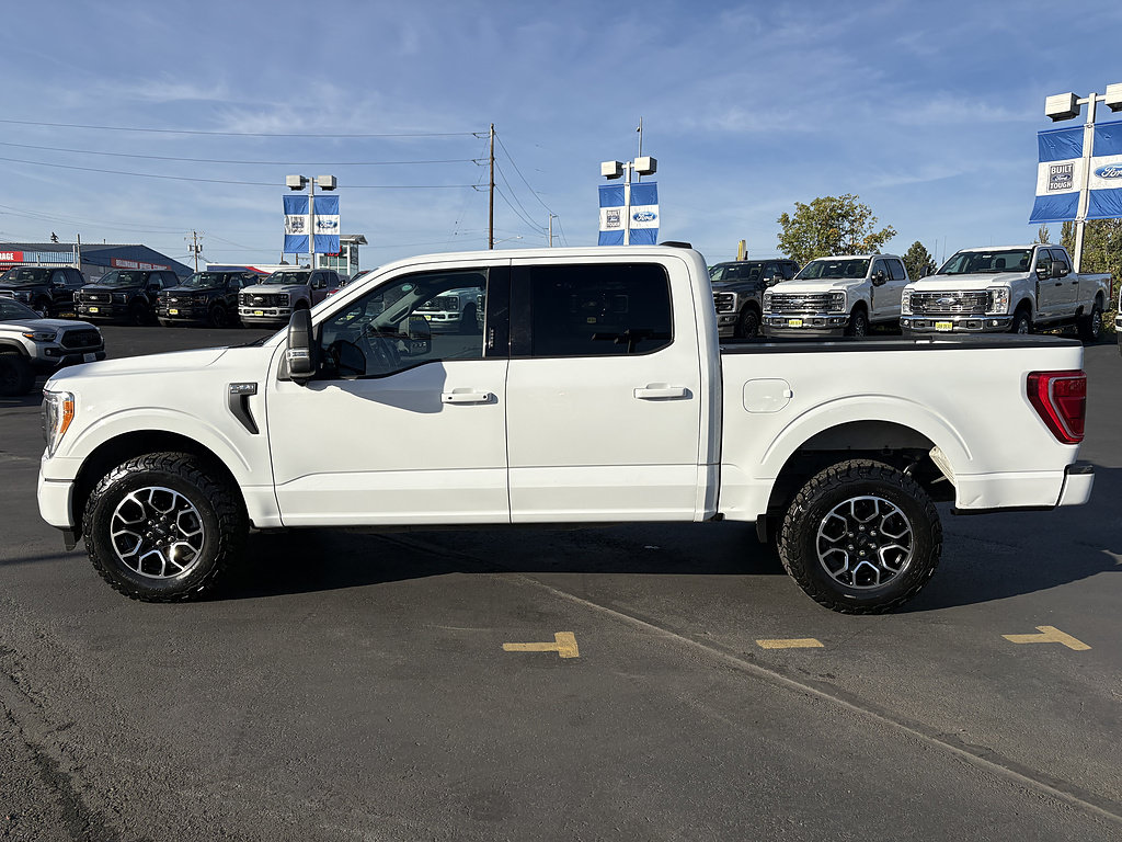 Used 2023 Ford F150 XLT w/ Equipment Group 302A High AWD/4WD image 10