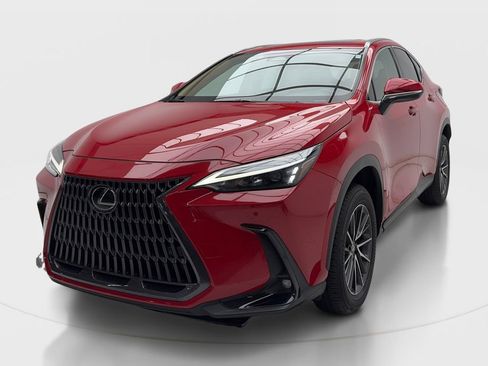 Used 2025 Lexus NX 250 FWD w/ Cold Area Package image 4