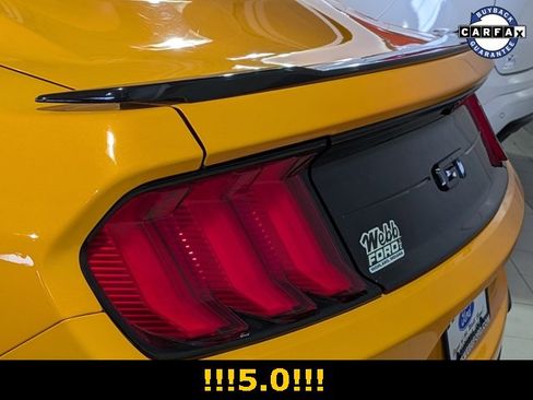 Used 2019 Ford Mustang GT w/ Equipment Group 301A image 7