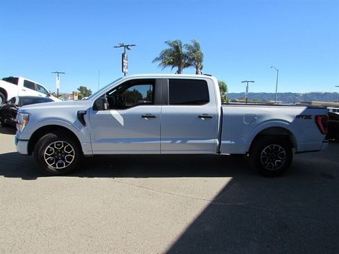 Used 2022 Ford F150 XL w/ STX Appearance Package RWD image 4