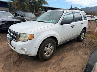 Used 2010 Ford Escape XLT FWD video 1