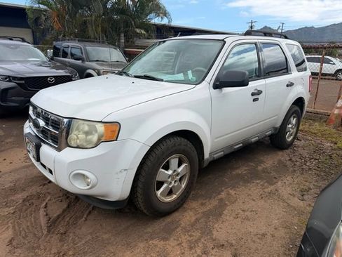 Used 2010 Ford Escape XLT FWD image 1