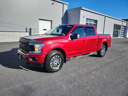 Used 2019 Ford F150 XLT w/ Equipment Group 302A Luxury image 1