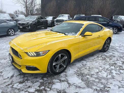 Used 2016 Ford Mustang Coupe w/ Equipment Group 051A image 3