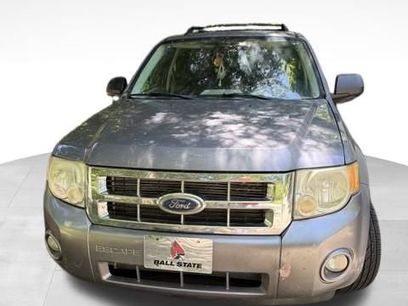 Used 2008 Ford Escape XLT