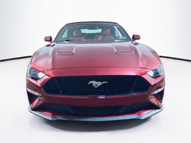 Used 2019 Ford Mustang GT Premium w/ Equipment Group 401A RWD image 2
