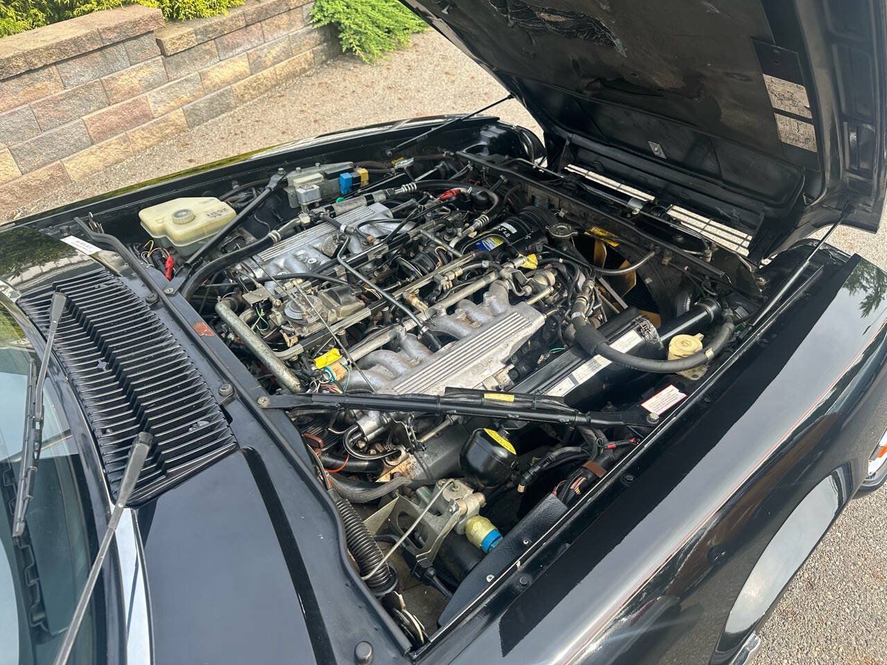 Used 1990 Jaguar XJS V12 Convertible RWD image 12