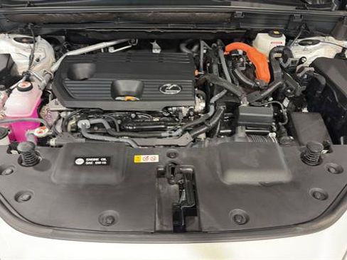 Certified 2025 Lexus NX 350h AWD w/ Cold Area Package image 10