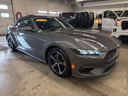 Used 2025 Ford Mustang Premium RWD image 8
