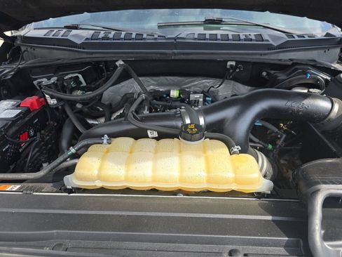 Used 2019 Ford F150 XLT w/ Equipment Group 301A Mid AWD/4WD image 8