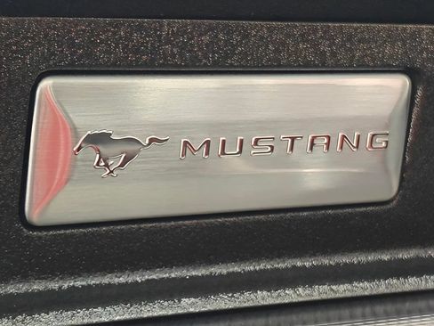 Used 2019 Ford Mustang Premium w/ Equipment Group 201A RWD image 64