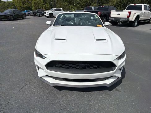 Used 2019 Ford Mustang Premium w/ Equipment Group 201A RWD image 18