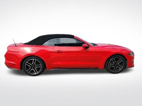 Used 2019 Ford Mustang Convertible RWD image 10