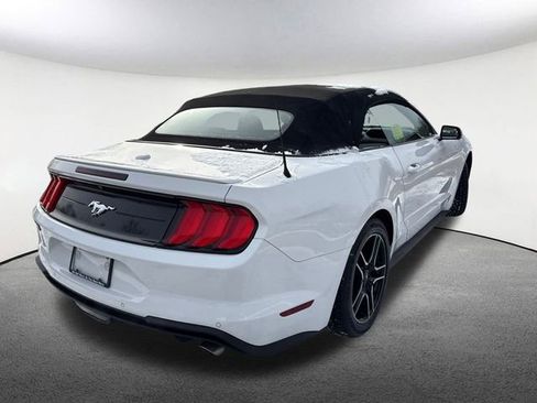 Used 2021 Ford Mustang Premium image 14
