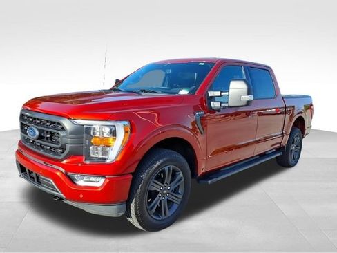 Used 2023 Ford F150 XLT w/ Equipment Group 302A High AWD/4WD image 2