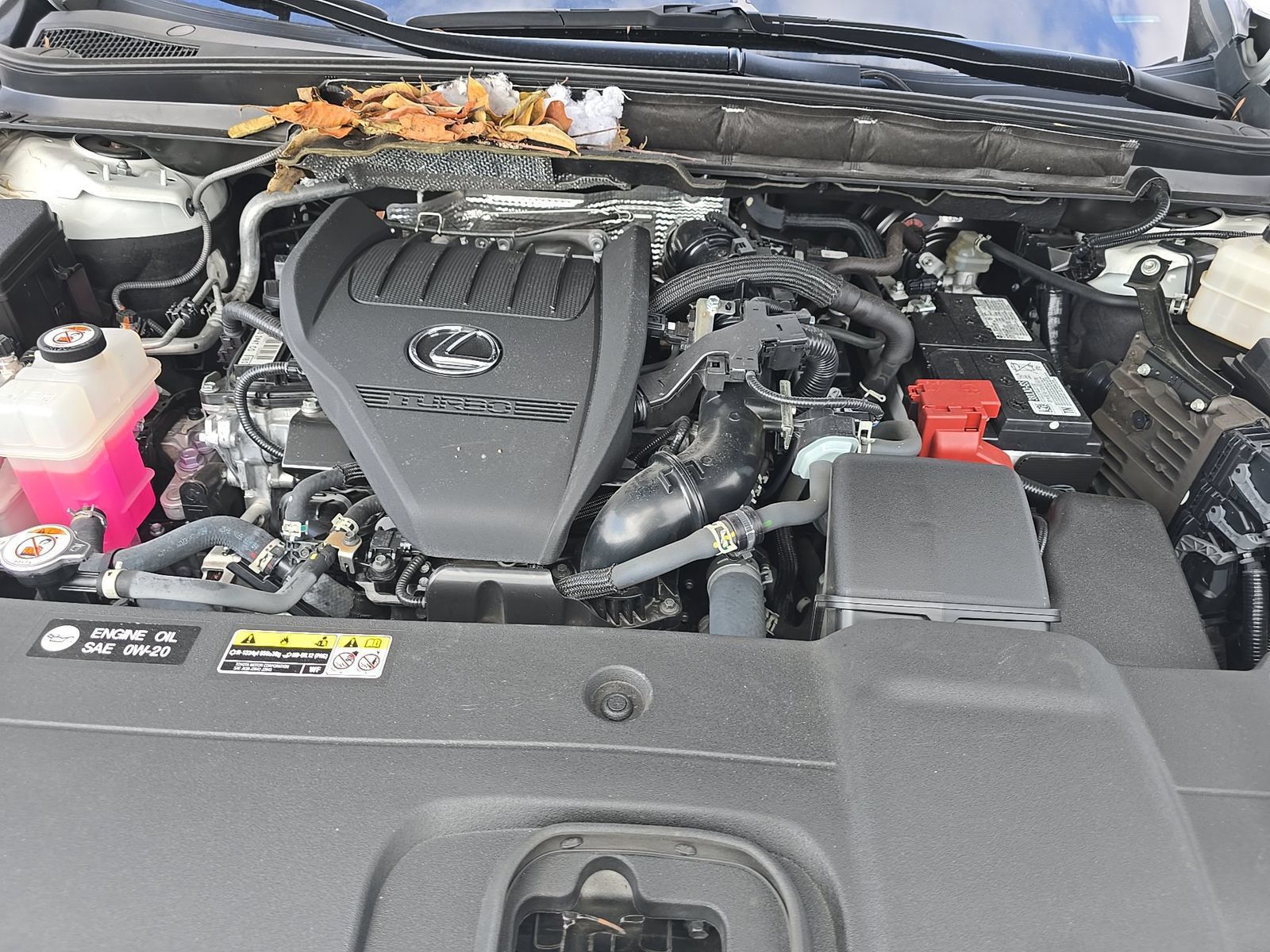 Used 2023 Lexus RX 350 Premium Plus w/ Cold Area Package FWD image 8