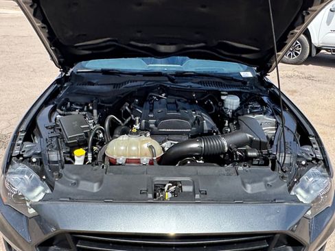 Used 2019 Ford Mustang Premium w/ Equipment Group 201A image 20