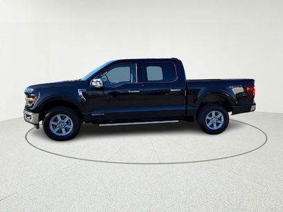 New 2025 Ford F150 XLT w/ Equipment Group 302A MID