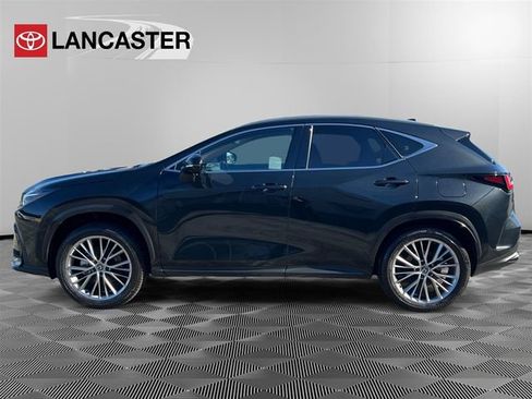 Used 2024 Lexus NX 350h 350h Luxury w/ Vision Package image 4