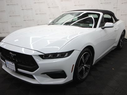 Used 2024 Ford Mustang Premium