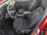 New 2025 Ford Escape Active w/ Tech Pack #1 image 4