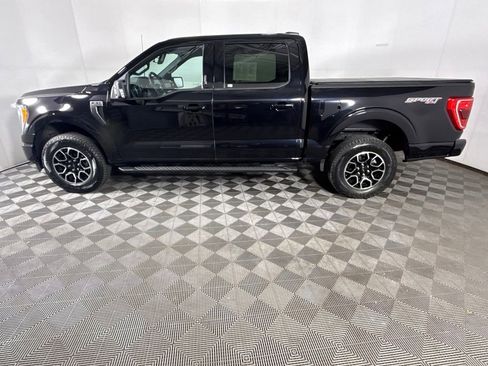 Used 2023 Ford F150 XLT w/ Equipment Group 302A High AWD/4WD image 5