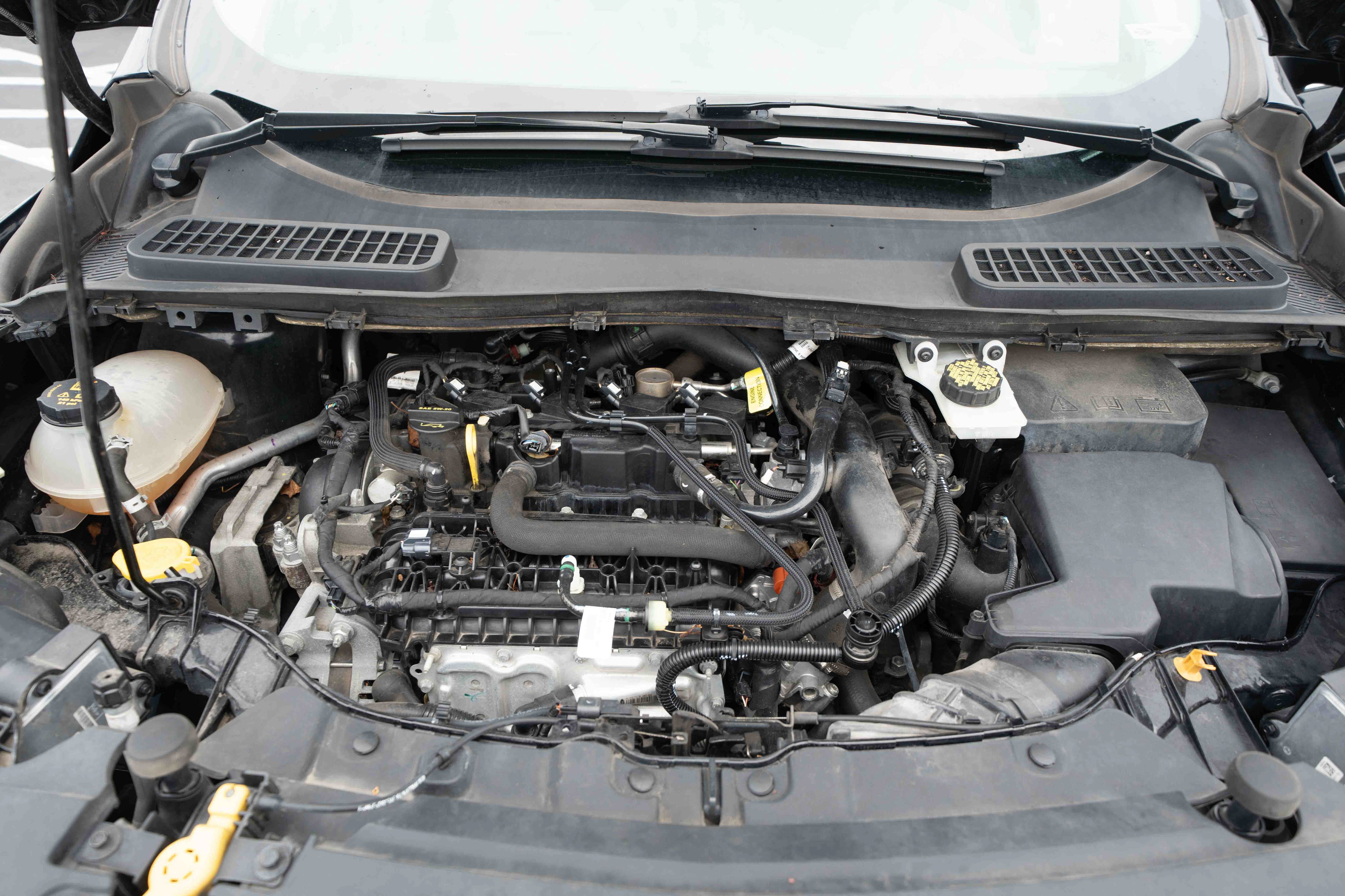 Used 2019 Ford Escape SEL AWD/4WD image 32
