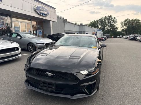 Used 2018 Ford Mustang Coupe w/ Ecoboost Performance Package RWD image 2