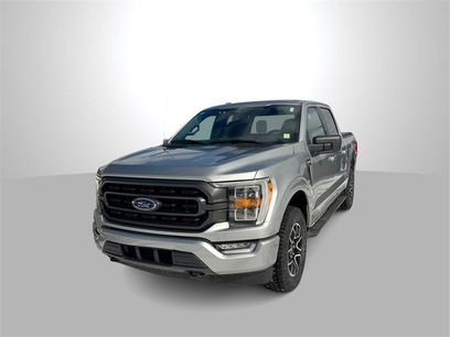 Used 2023 Ford F150 XLT w/ Equipment Group 302A High