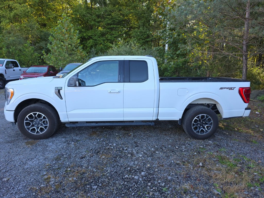 Used 2023 Ford F150 XLT w/ Equipment Group 302A High AWD/4WD image 4