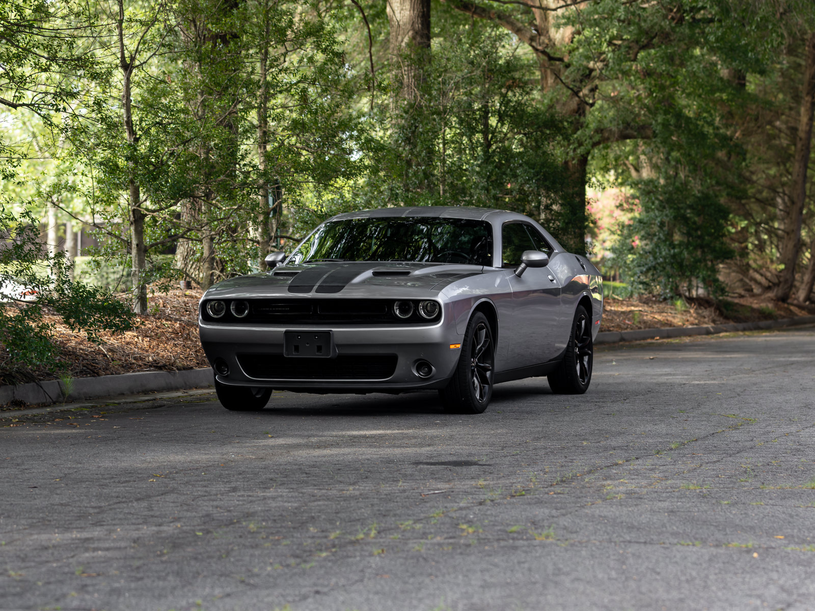Used 2017 Dodge Challenger SXT Plus RWD image 39