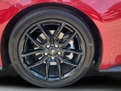 Used 2024 Ford Mustang Premium w/ Mustang Nite Pony Package RWD image 25