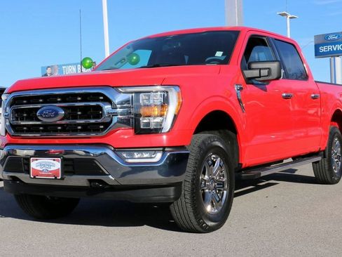 Used 2023 Ford F150 XLT w/ Equipment Group 302A High image 1