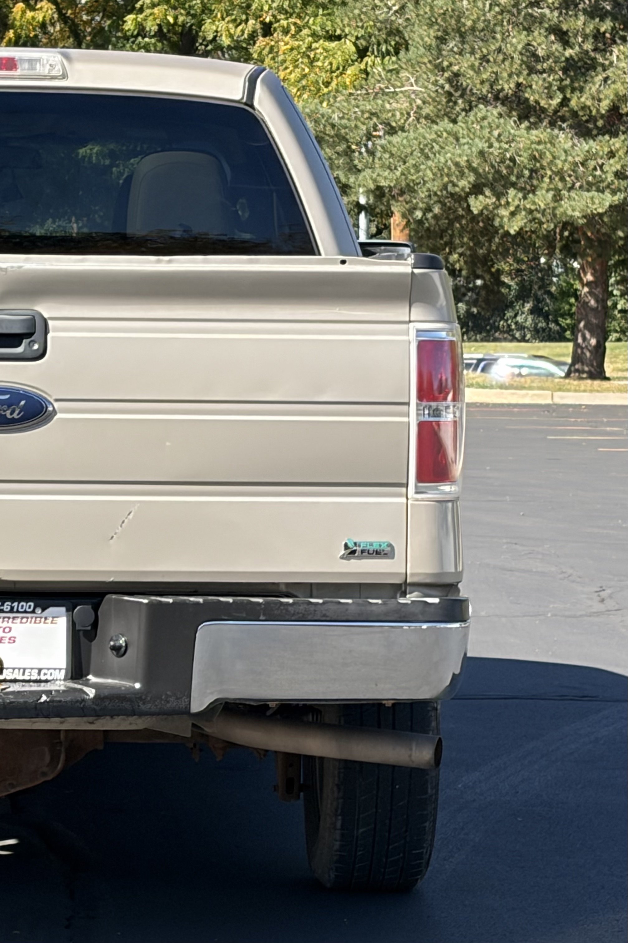 Used 2010 Ford F150 XLT AWD/4WD image 12