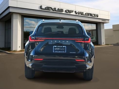 Certified 2024 Lexus NX 250 FWD image 3