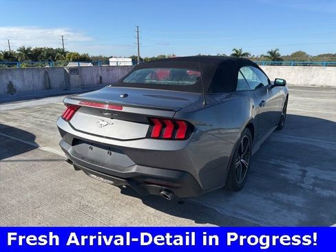 Used 2024 Ford Mustang Premium image 22