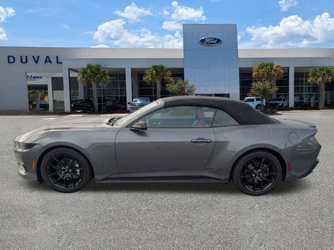 Used 2025 Ford Mustang Convertible w/ Mustang Nite Pony Package image 7